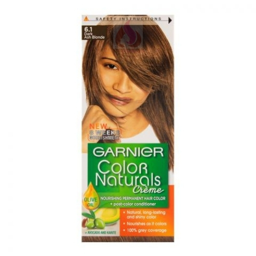 Buy Garnier Natural Hair Color Cream-6.1 in Pakistan|HGS